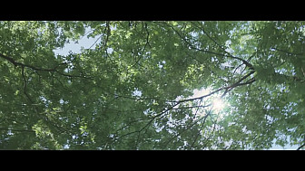 Keith Urban, little bit of everything, clip